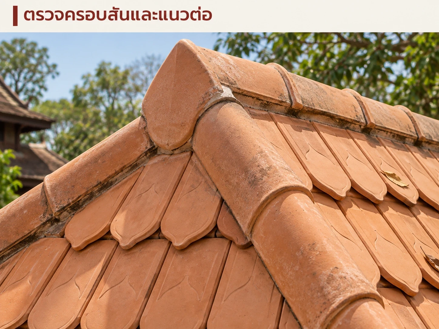 ภาพจำลองจุดต่อครอบสันและตะเข้: ต้องตรวจร่วมกับตัวมุงเมื่อมีอาการน้ำเข้า