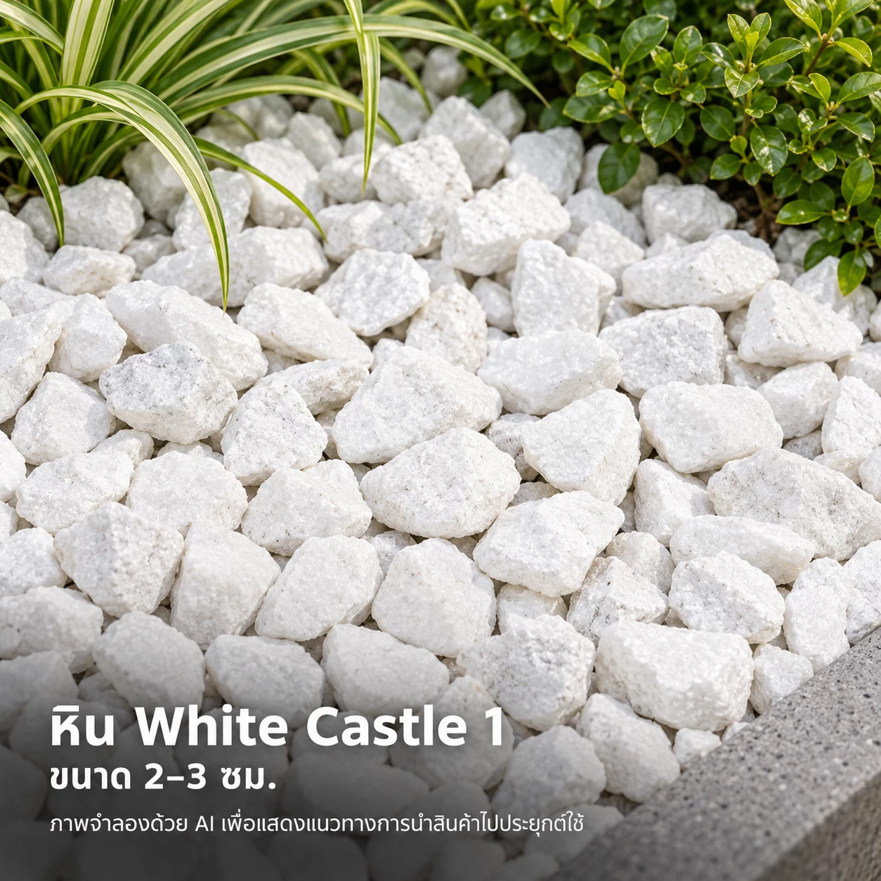 ภาพตัวอย่างจากอัลบั้ม หิน White Castle 1