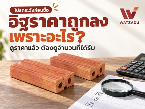 โปรดระวังซื้ออิฐราคาถูก: ทำไมถูกลง และคุณได้ครบไหม?